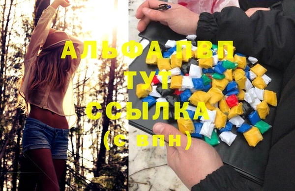 ECSTASY Каменногорск