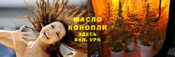 СК Каменка