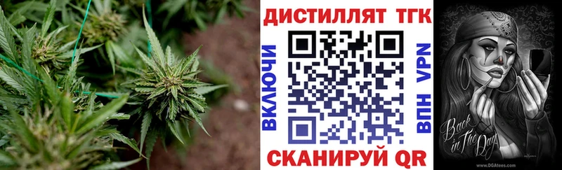 ТГК вейп  Купить закладки  Ветлуга 