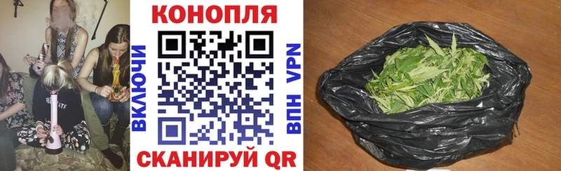 Каннабис индика Ветлуга